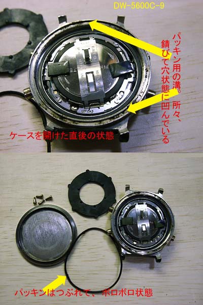 dw-5600c-9_case_x2.jpg